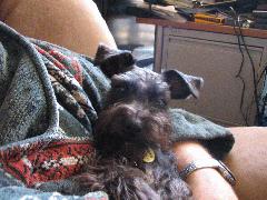 Mimi 4.JPG Mimi 4.JPG